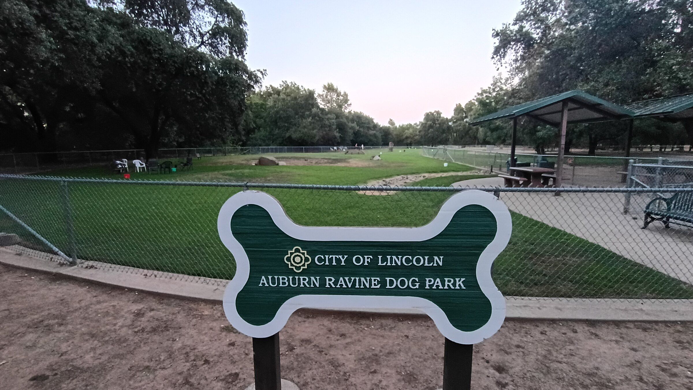 Auburn Ravine Dog Park in Lincoln, California